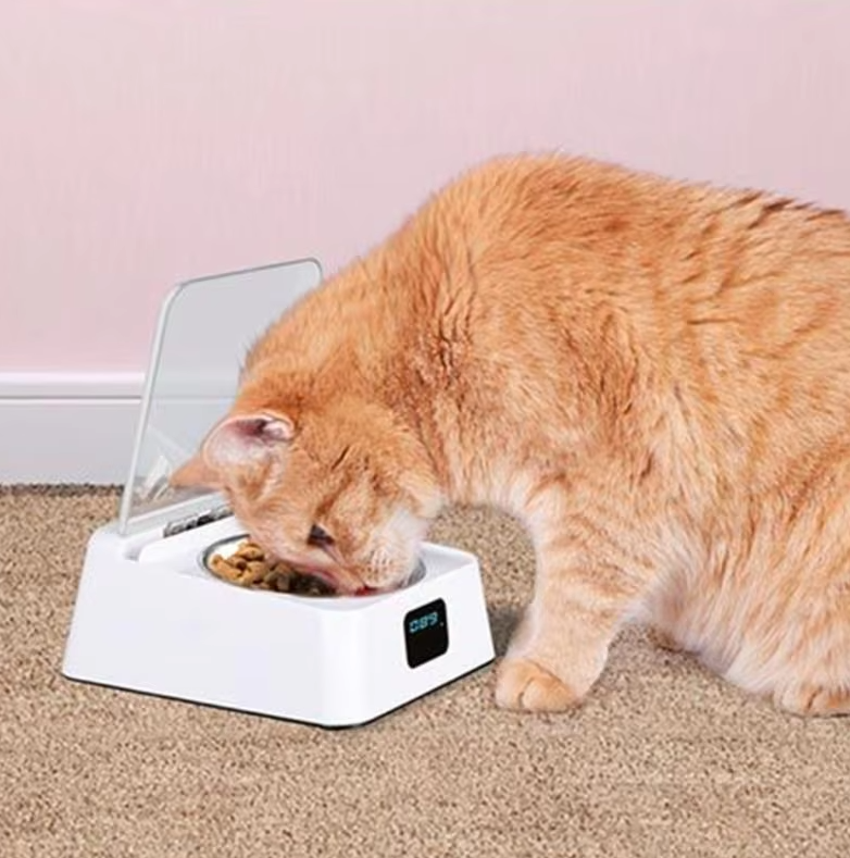 Automatischer Futterspender Für Katzen Mit Digitalanzeige Und Deckel