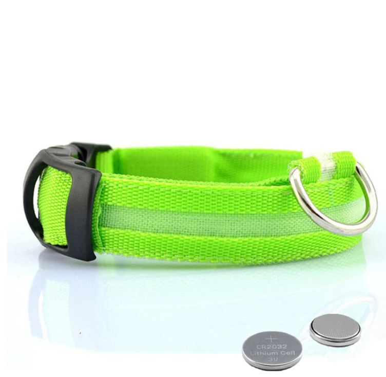 LED-Leuchthalsband für Hunde