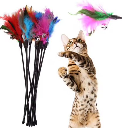 Federwedel für Katzen – Farbiges Spielzeug (5er Set)
