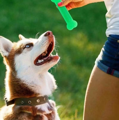 Zahnreinigender Kauknochen Für Hunde – Robustes Beißspielzeug Aus Gummi