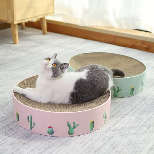 Katzenschleife Aus Karton mit Kaktusdesign – Kratzbrett im Modernen Stil