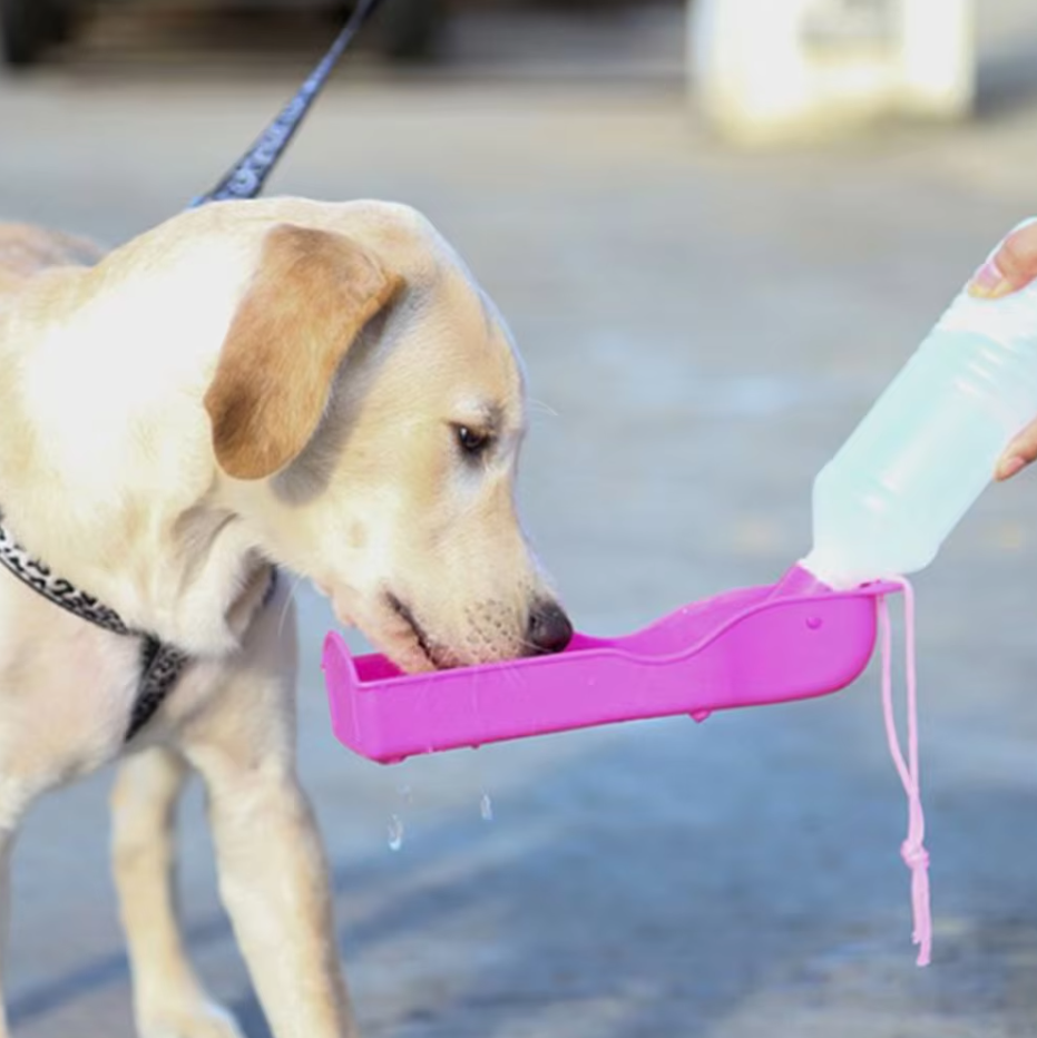 Tragbare Trinkflasche für Hunde mit Integriertem Napf – Ideal für Unterwegs