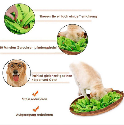 Schnüffelmatte für Hunde – Fördert natürliche Futtersuchfähigkeiten
