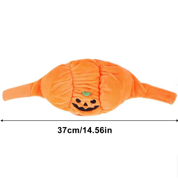 Süßes Halloween-Kürbis-Hundekostüm – Mit Lächelndem Kürbis-Design für Kleine Hunde