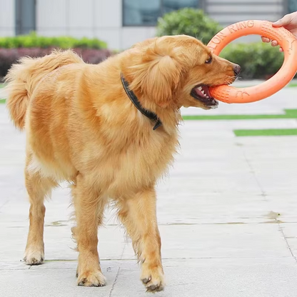 Robuster Wurf- Und Beißring – Interaktives Hundespielzeug Für Aktiven Spielspaß