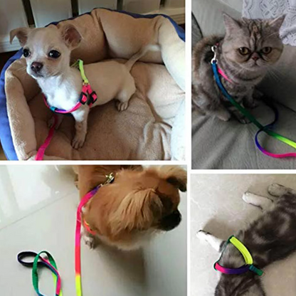Buntes Hundegeschirr mit Leine – Verstellbares Set für Hunde in Regenbogenfarben