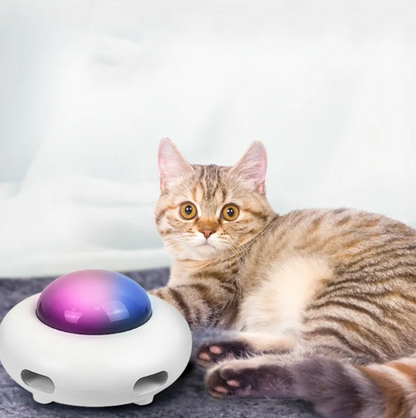 Interaktives Katzenspielzeug mit LED-Lichtern und Schwanzfeder