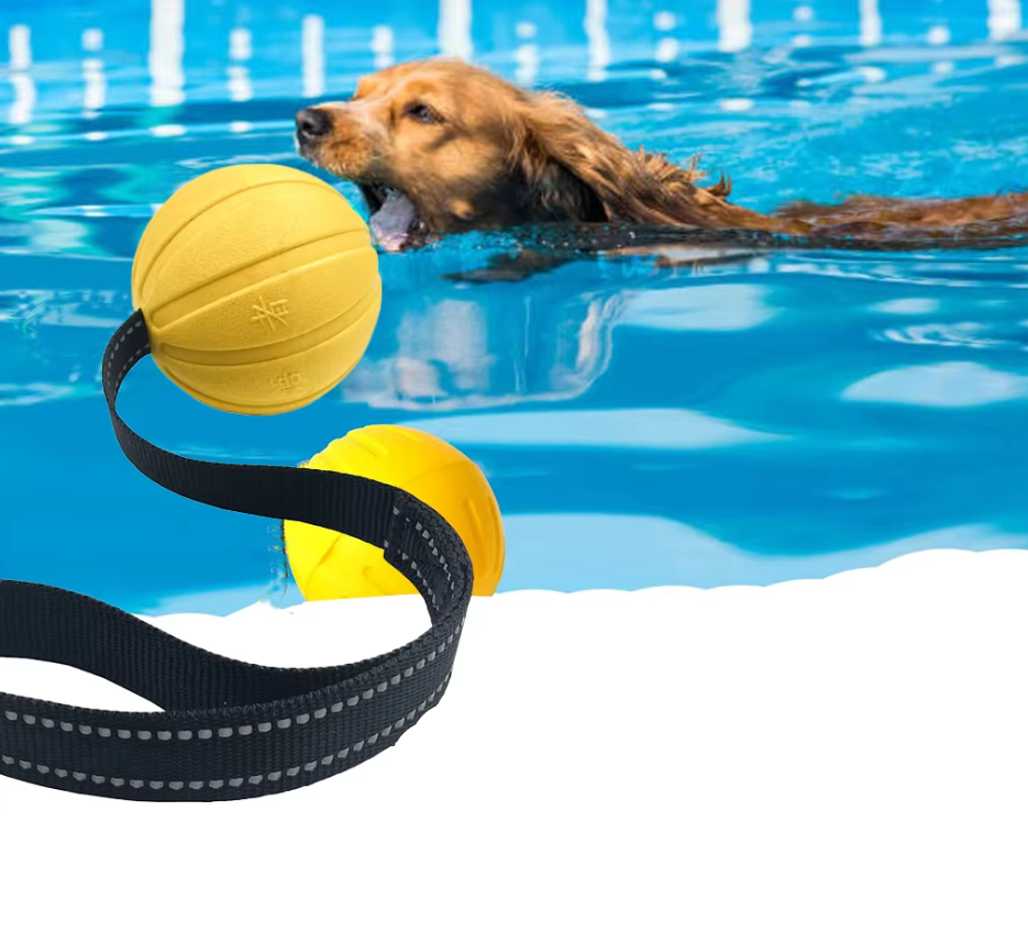 Interaktives Beiß-Trainingsspielzeug Für Hunde – Robuster Zerrball