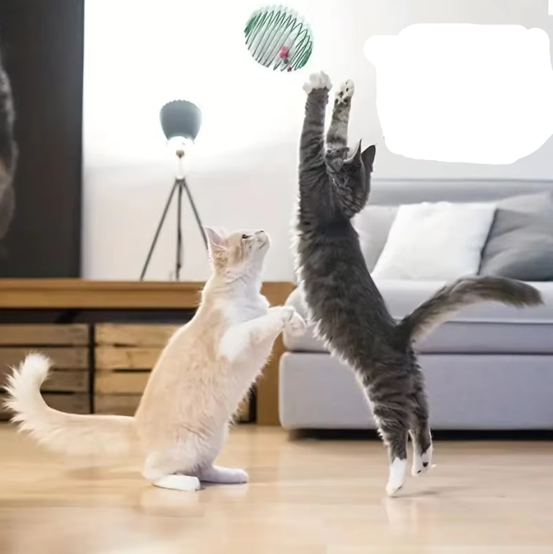 Mäuse In Spiralkäfig – Beutespiel Für Katzen