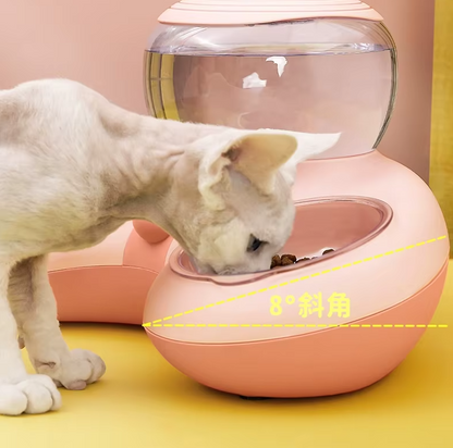 2-in-1 Futternapf für Haustiere mit Automatischem Wasserspender und Rutschfestem Design