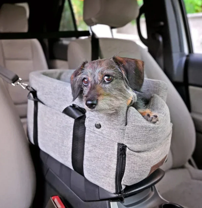Autositz für Hunde