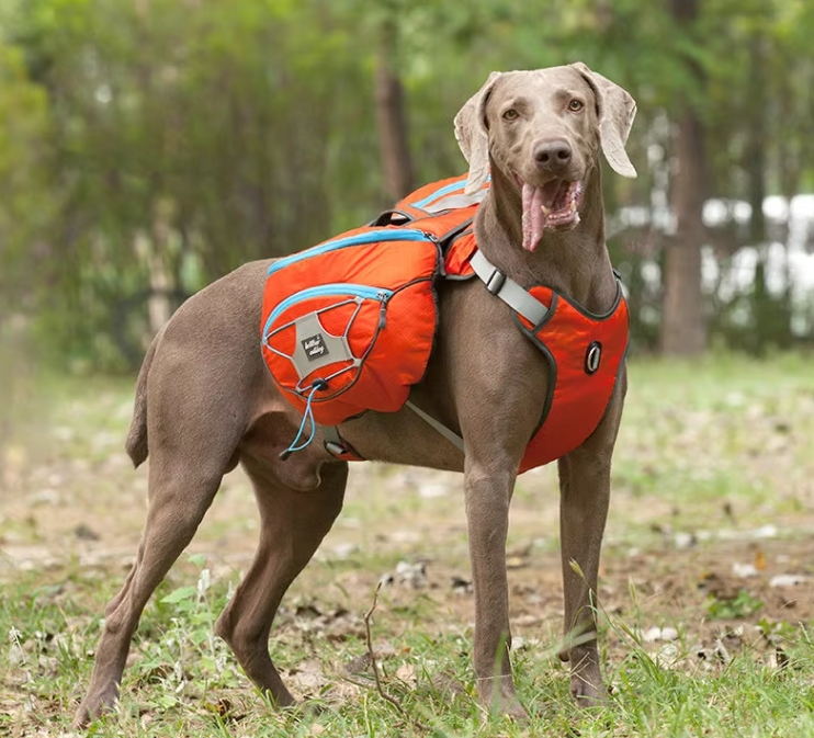 Hundewanderrucksack mit Wasserfesten Taschen – Tragbare Hundetrage für Outdoor-Aktivitäten