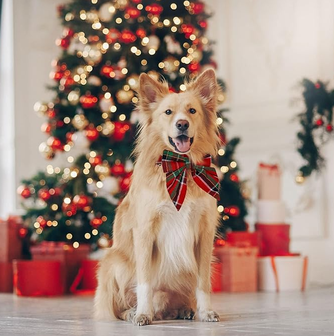 Kariertes Hunde Halsband mit Schleife für Weihnachten und Festliche Anlässe