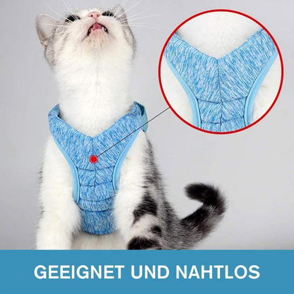 Katzen-Geschirr mit Leine