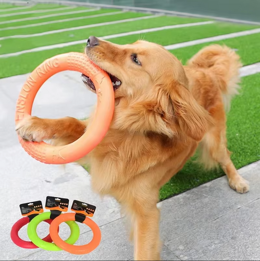 Robuster Wurf- Und Beißring – Interaktives Hundespielzeug Für Aktiven Spielspaß