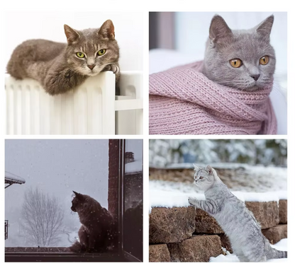 Katzen-Hängematte – Weicher Stabiler Fensterliegeplatz Für Katzen