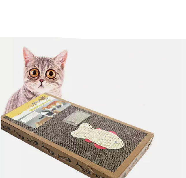 Katzen Kratzmatte mit Fischspielzeug – Umweltfreundlich und Stabil