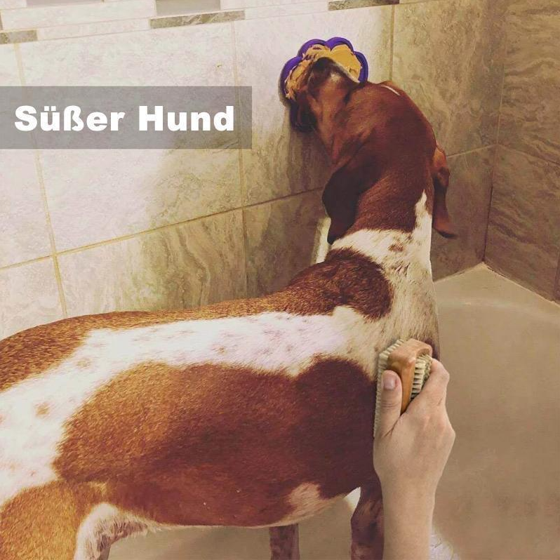 Leckmatte Für Hunde – Beruhigt Beim Baden Und Pflegen