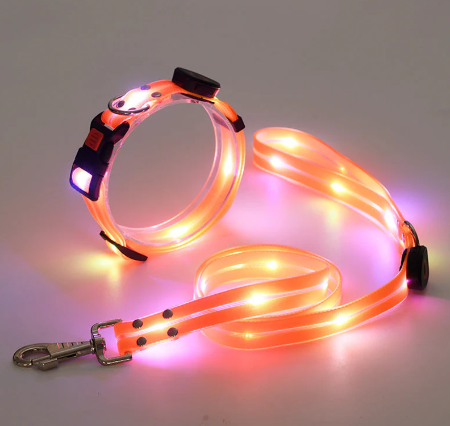 Leuchtendes Led-hundehalsband Mit Passender Leine Für Mehr Sicherheit