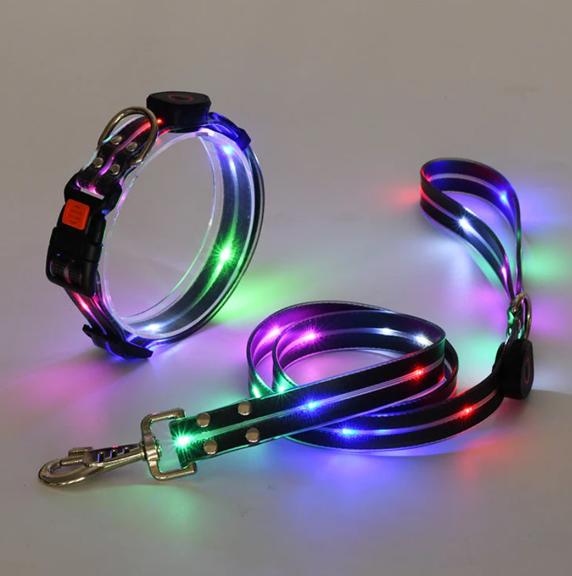 Leuchtendes Led-hundehalsband Mit Passender Leine Für Mehr Sicherheit