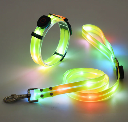 Leuchtendes Led-hundehalsband Mit Passender Leine Für Mehr Sicherheit