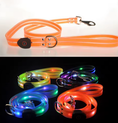 Leuchtendes Led-hundehalsband Mit Passender Leine Für Mehr Sicherheit