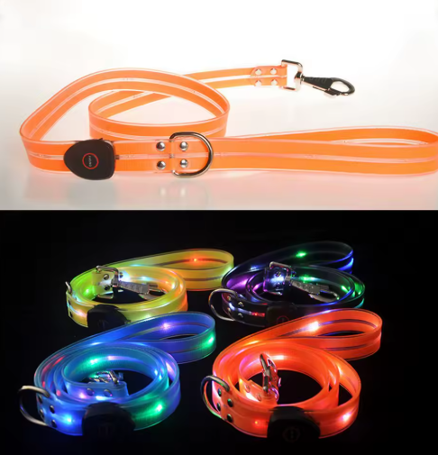 Leuchtendes Led-hundehalsband Mit Passender Leine Für Mehr Sicherheit