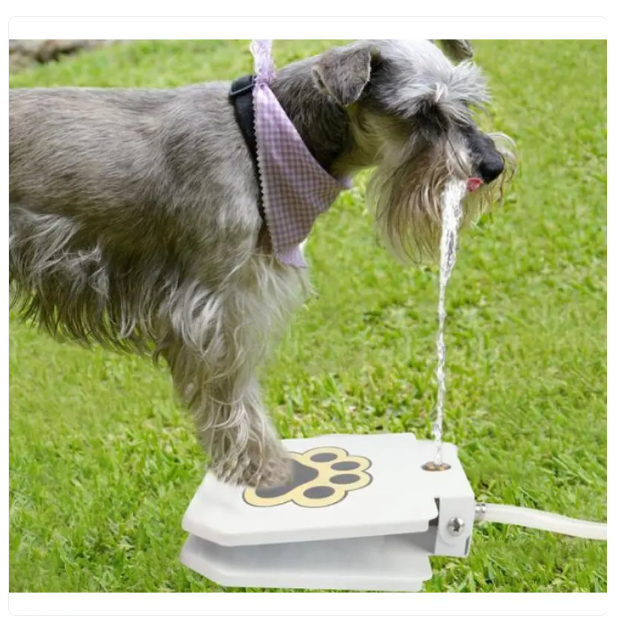 Trittfeste Hundetrinkquelle für Draußen mit Wasseranschluss und Pfotenaktivierung