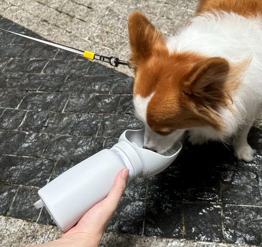 Faltbare Wasserflasche Für Haustiere Mit Integriertem Napf