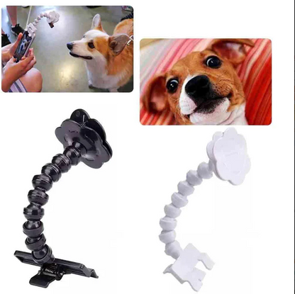 Haustier-Selfie-Stick mit Leckerli-Halter