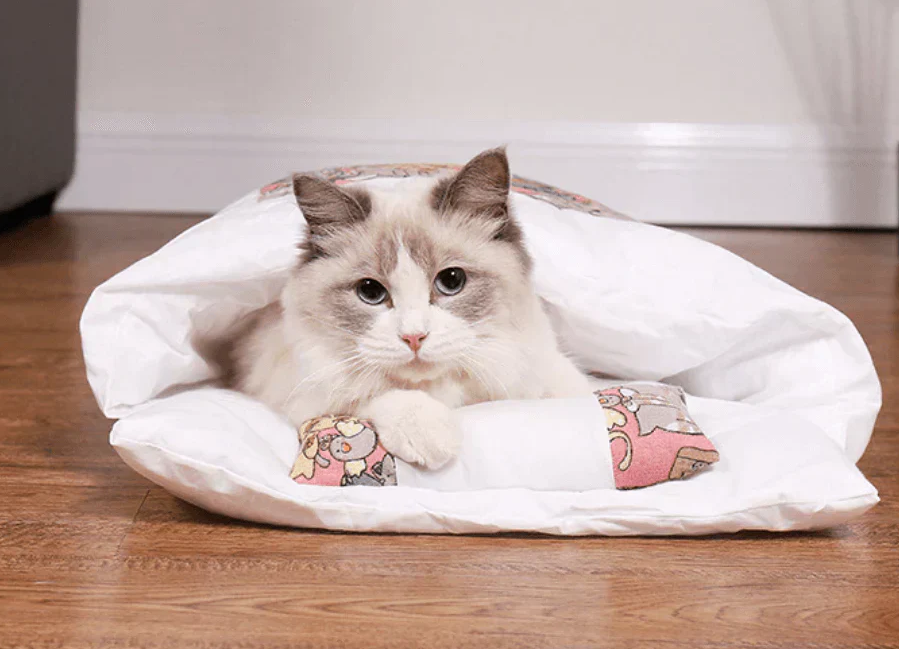 Kuschelkissen Für Katzen