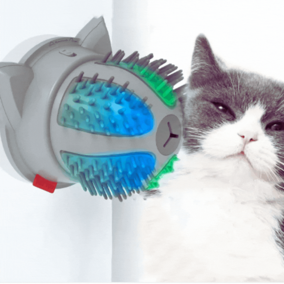 Elektrische Selbstmassage-Bürste für Katzen mit Catnip-Fach und Dual-Stromversorgung