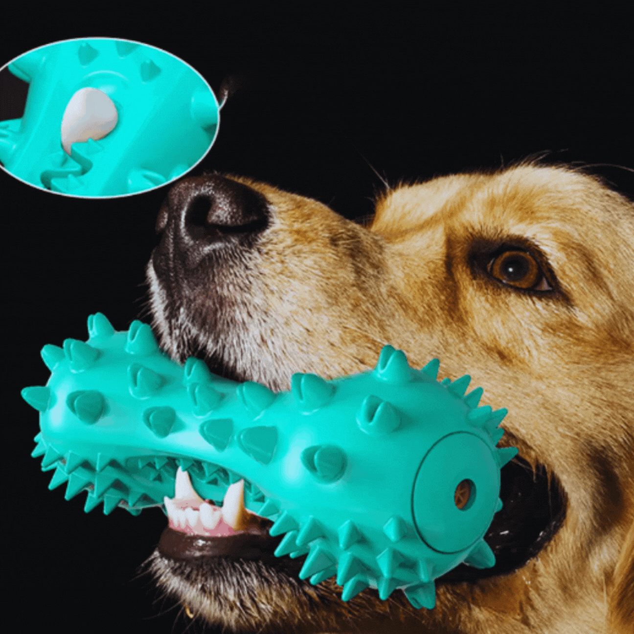 Geräuschaktiviertes Hundespielzeug – Spikes Kauspielzeug für Hunde