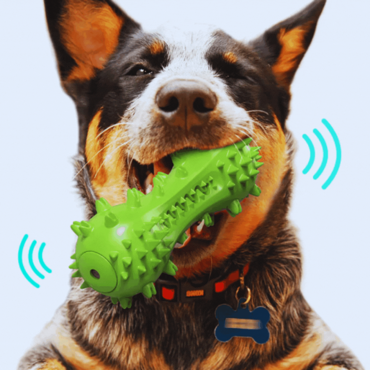 Geräuschaktiviertes Hundespielzeug – Spikes Kauspielzeug für Hunde