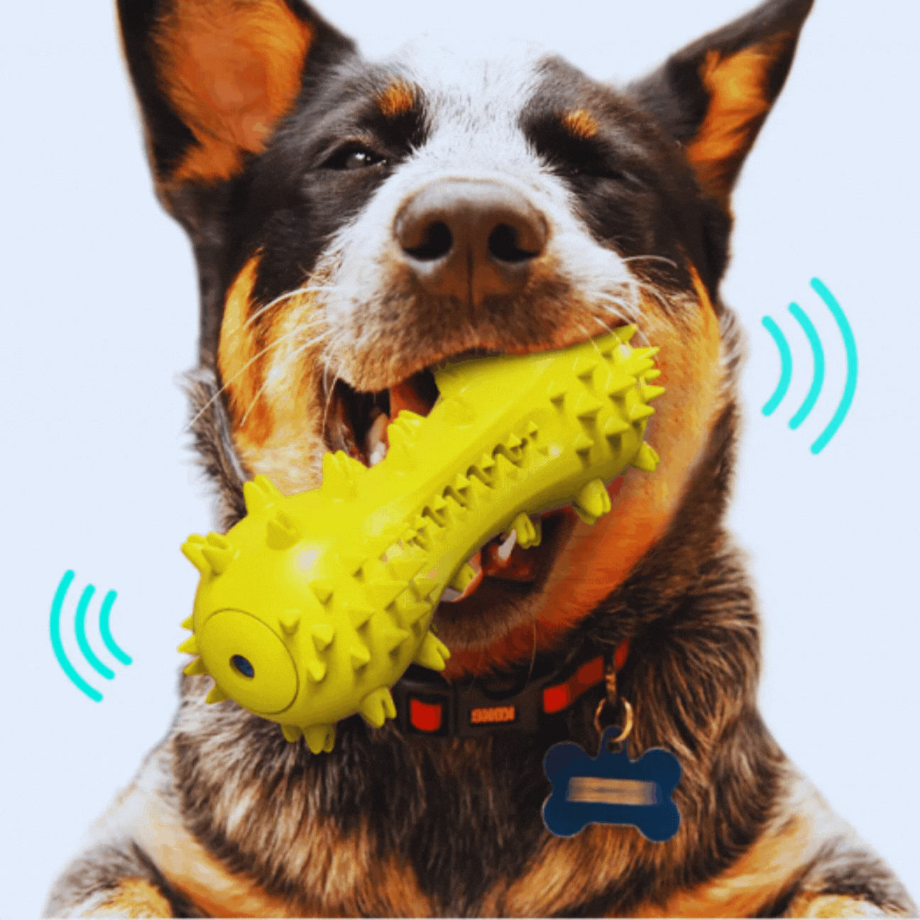 Geräuschaktiviertes Hundespielzeug – Spikes Kauspielzeug für Hunde