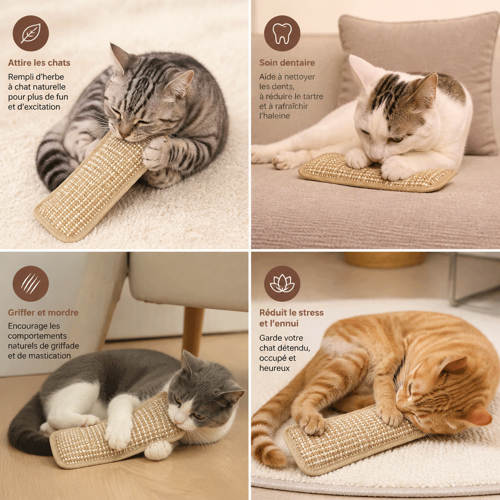 Natürliches Sisal-Katzenkissen & Kratzspielzeug mit Katzenminze – Kauspielzeug zur Zahnpflege