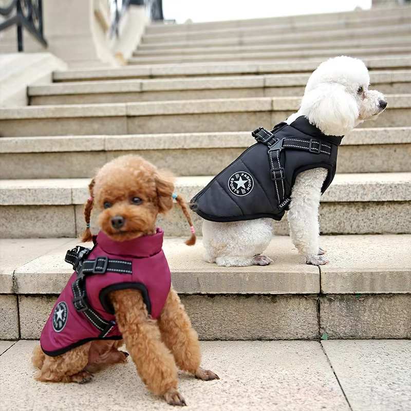 Wetterfeste Hundejacke Mit Integriertem Geschirr