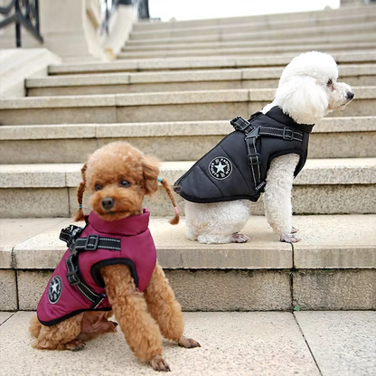 Wetterfeste Hundejacke Mit Integriertem Geschirr
