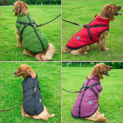 Wetterfeste Hundejacke Mit Integriertem Geschirr