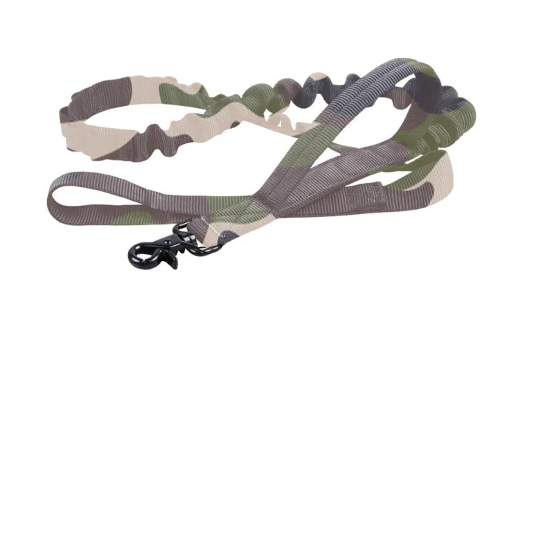 Verstellbares Nylon Hundehalsband mit Robustem Klickverschluss