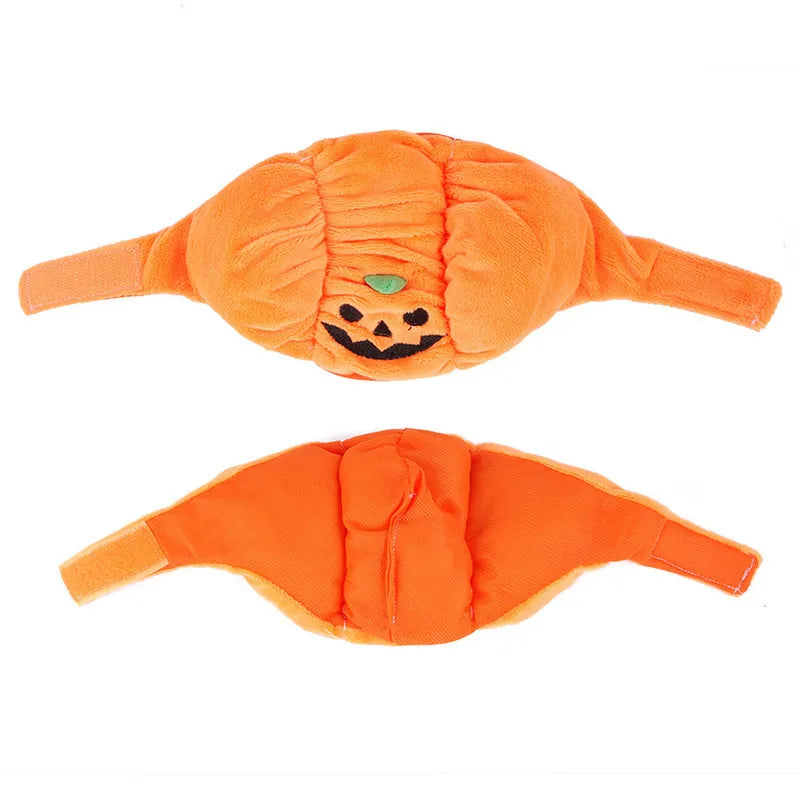 Süßes Halloween-Kürbis-Hundekostüm – Mit Lächelndem Kürbis-Design für Kleine Hunde