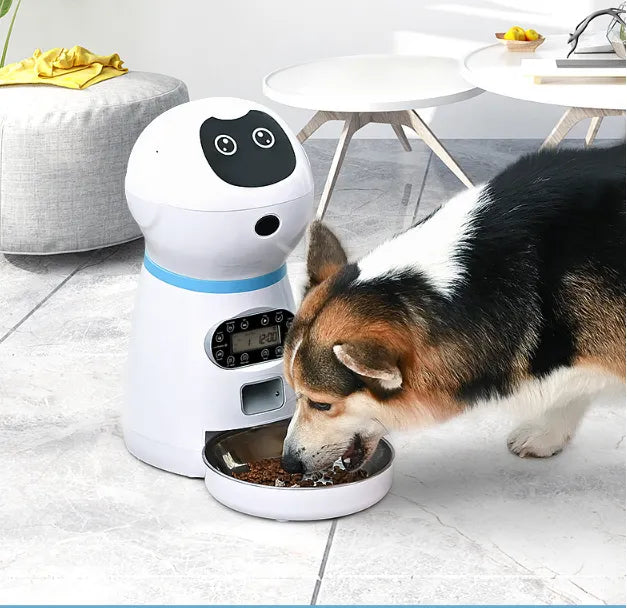 Automatischer Futterspender Für Hunde Mit Digitalanzeige