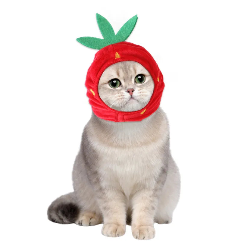 Katzen Haarkur-Set mit Lockenwicklern – Weiches Material und Einfach zu Tragen