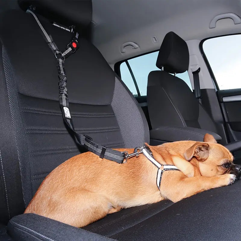 Auto-Sicherheitsgurt für Hunde