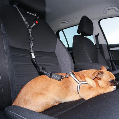 Auto-Sicherheitsgurt für Hunde