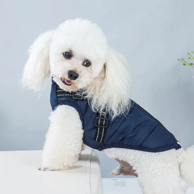 Wetterfeste Hundejacke Mit Integriertem Geschirr