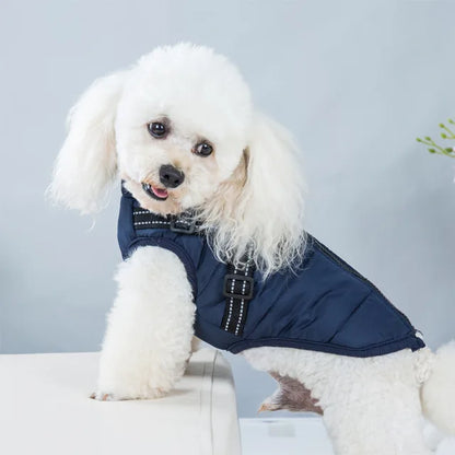 Wetterfeste Hundejacke Mit Integriertem Geschirr