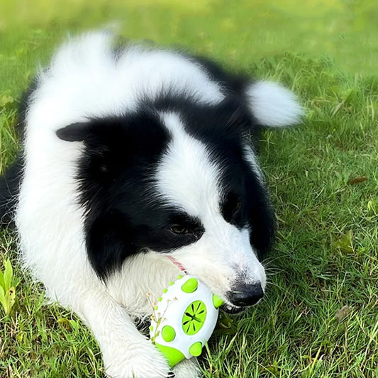 Hundespielzeug Mit Leckerli-spender – Interaktives Kauspielzeug Für Hunde
