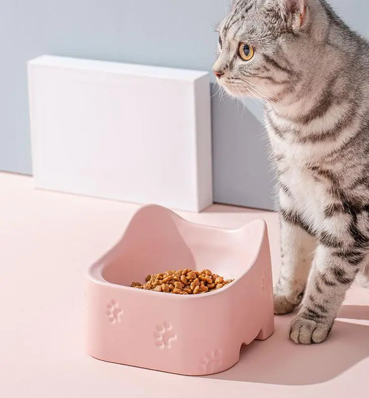 Erhöhte Futterschale Für Katzen – Ergonomisches Und Rutschfestes Design