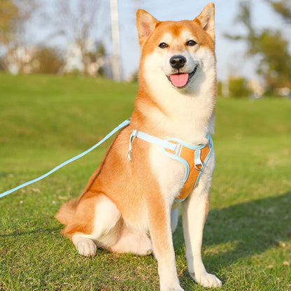 Leuchtendes Sicherheitsgeschirr für Hunde